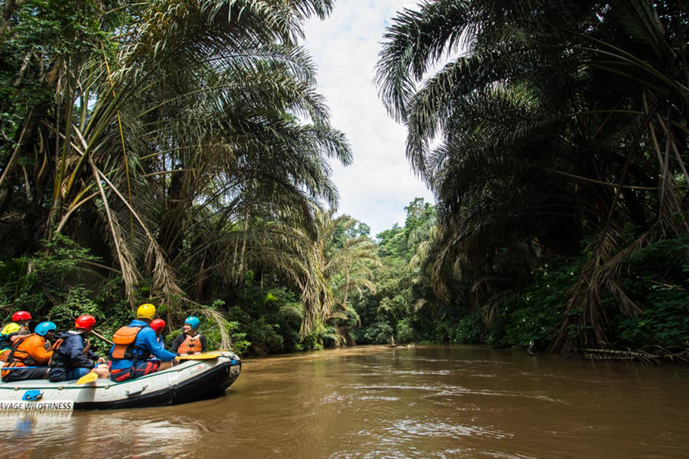 A raft drifting a flat stretch of river beneath overhanging palms